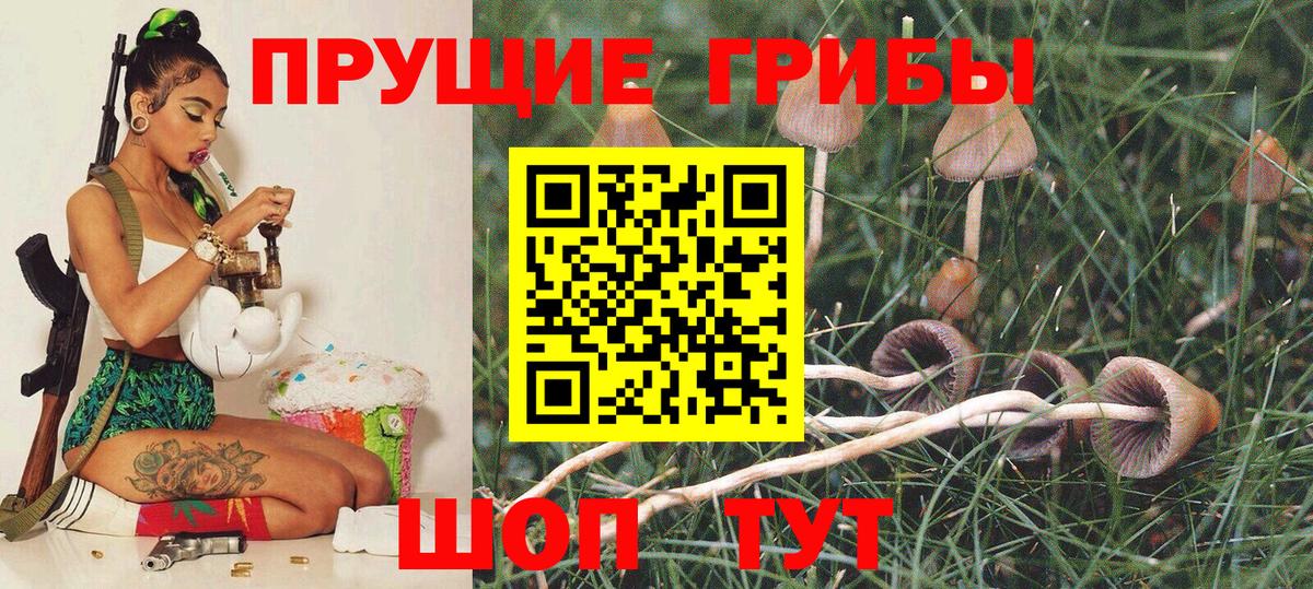 Галлюциногенные грибы GOLDEN TEACHER Коряжма